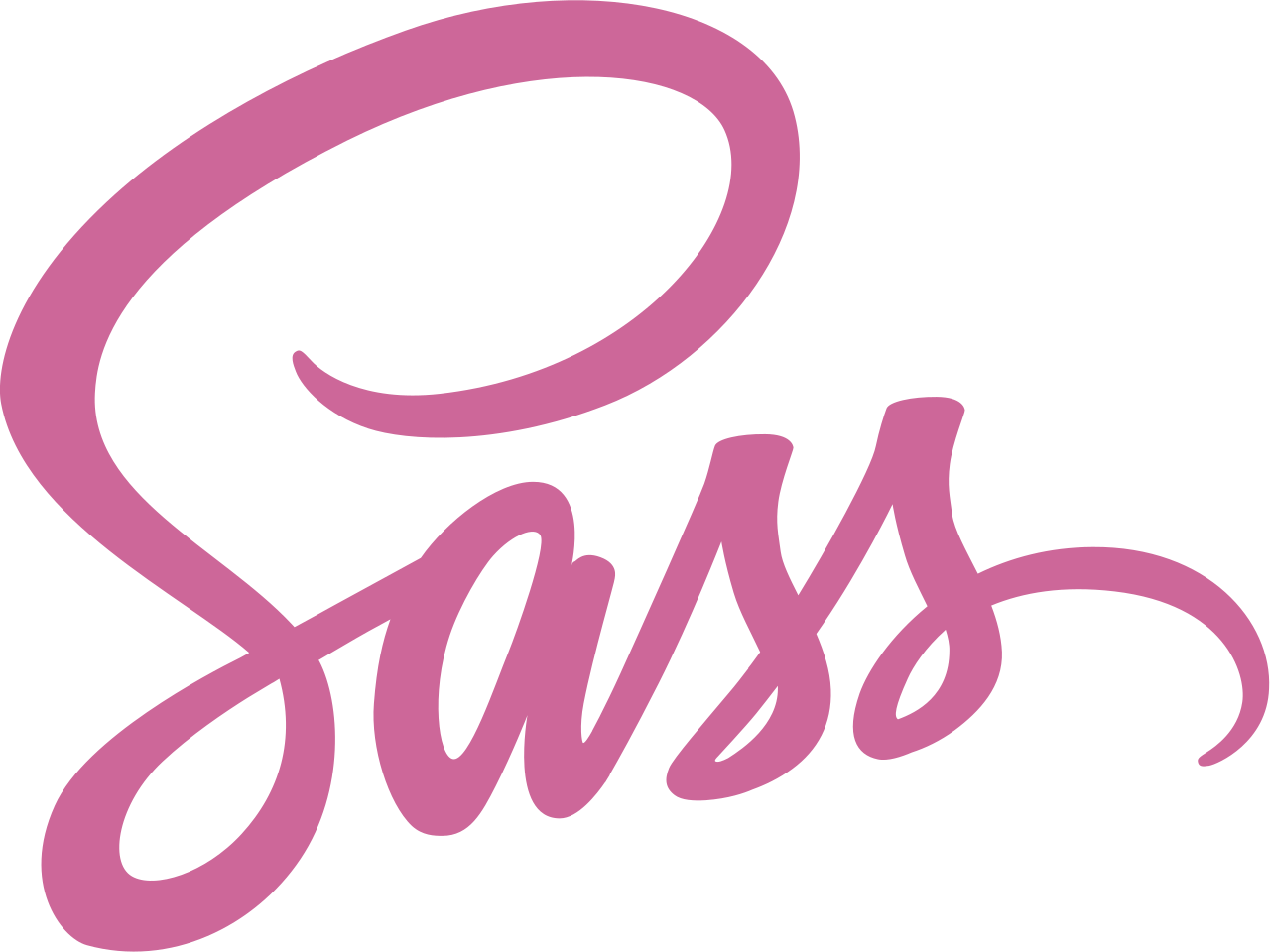 Sass Bilgisi - Deniz Temekoğlu